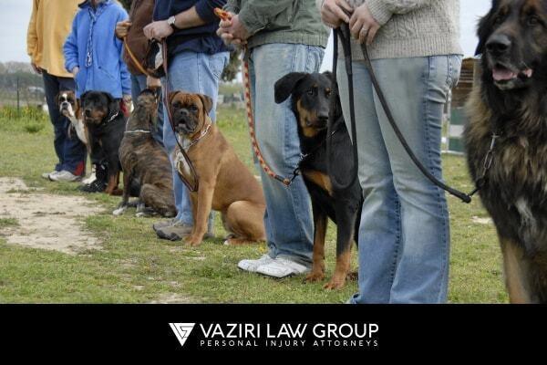 Dog attacks statistics by breed