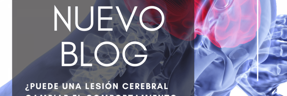 Vaziri August 12, 2022