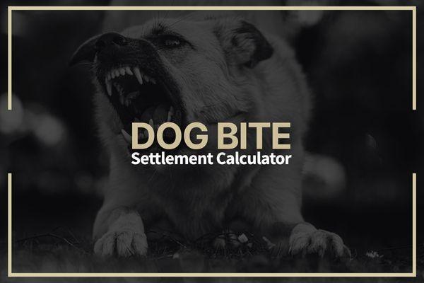 Dog Bite Lawyer in Los Angeles