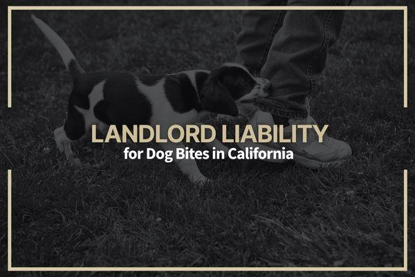 Landlord Liability for Dog Bites in California